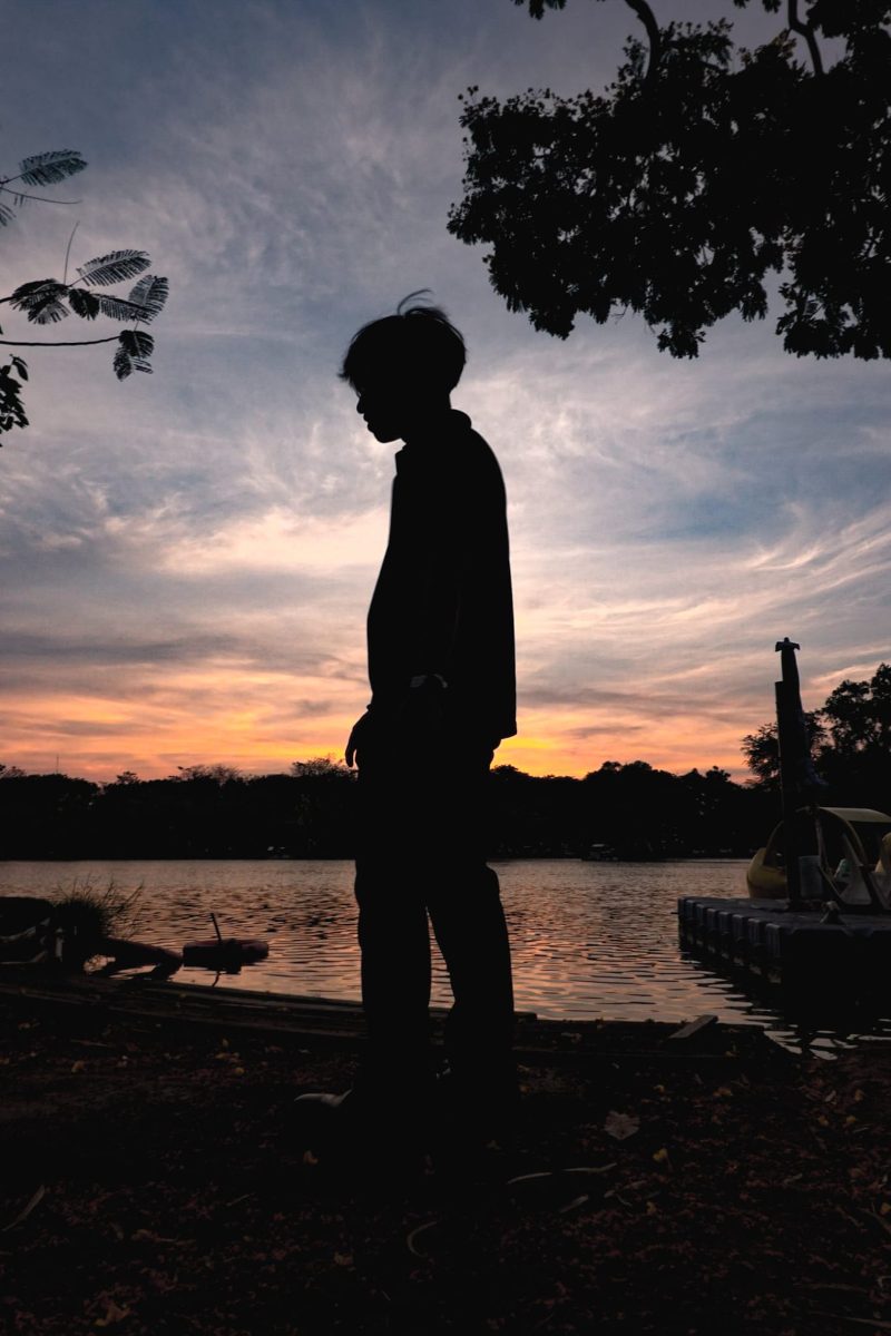 A silhouette beside the water at sunset