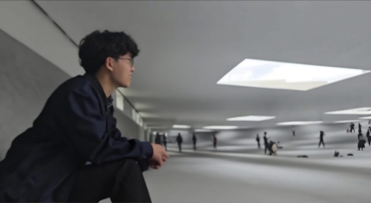 Looking across a broad interior with roof lights